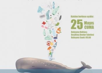 Her yıl denizlere 8 milyon ton plastik atılıyor