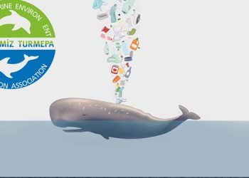 TURMEPA’YA “PLASTİKSİZ MUĞLA”İÇİN ULUSLARARASI DESTEK