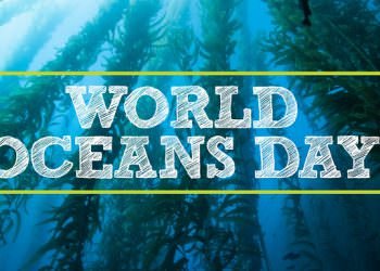 TÜDAV’DAN DÜNYA OKYANUS GÜNÜ’NE ÖZEL PROGRAM