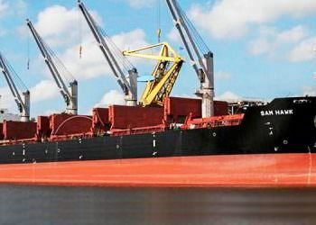 DENSAY, FİLOYA 2 DÖKME YÜK GEMİSİ DAHA EKLEDİ