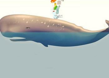 TURMEPA’NIN DENİZ EĞTİMLERİNE HP TÜRKİYE’DEN DESTEK