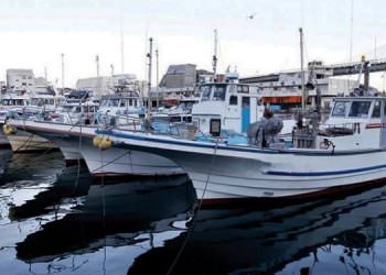 BALIKÇI TEKNELERİNDE RUHSAT SAHTECİLİĞİ YAPAN ŞEBEKE ÇÖKERTİLDİ