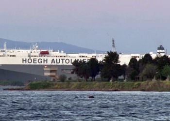 TUZLA DEMİR SAHASINDA GEMİ KARAYA OTURDU