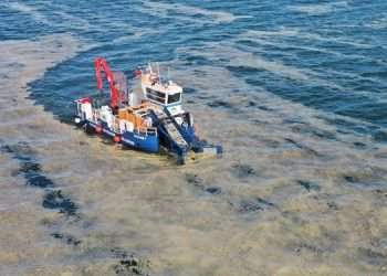 MARMARA’DA MÜSİLAJ ARITMASININ MALİYETİ 1 MİLYAR DOLAR