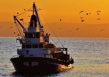 26 METRE BOYUNDAKİ BALIKÇI GEMİSİ SATIŞA ÇIKTI