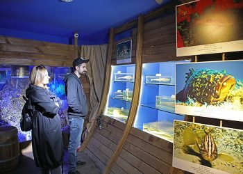 ANTALYA DENİZ BİYOLOJİ MÜZESİ’NDEKİ BALIKLAR YENİLENECEK