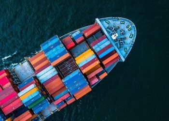 NAVLUNDA DÜŞÜŞ YÜZDE 85 SEVİYELERİNE ULAŞTI