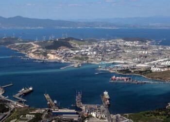 Aliağa Limanları,  Büyümeye Devam Ediyor