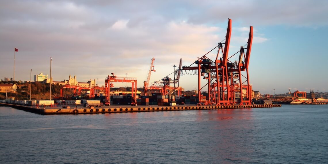 Liman Çıkış Belgelerine İlişkin Yeni Düzenleme Resmi Gazete’de Yayımlandı