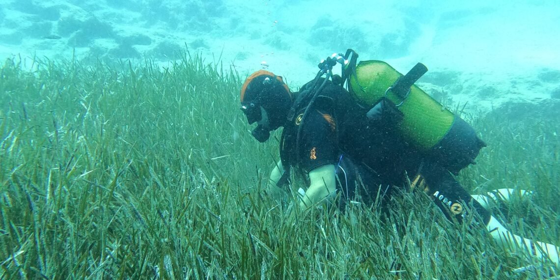 Mavi Nefes Projesi Saros Ve Göcek’te Devam Ediyor