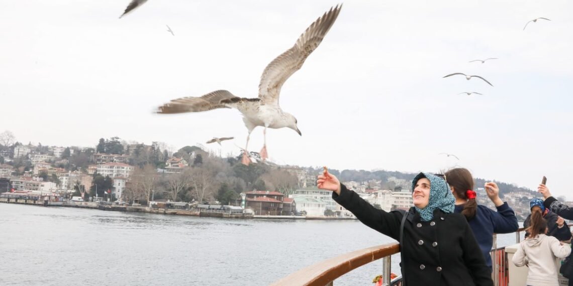 Şehir Hatları’ndan 10 bin kişiye ücretsiz boğaz turu