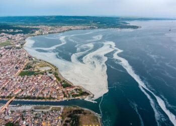 Marmara Denizi’nde müsilaj tehlikesi bir kez daha gündemde