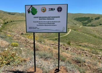 Gemi Brokerleri Derneği’nden 15. yılda 2 bin fidanlık hatıra ormanı