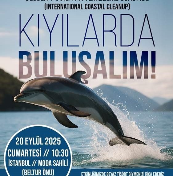 Deniz gönüllüleri, TURMEPA öncülüğünde kıyılarda buluşuyor