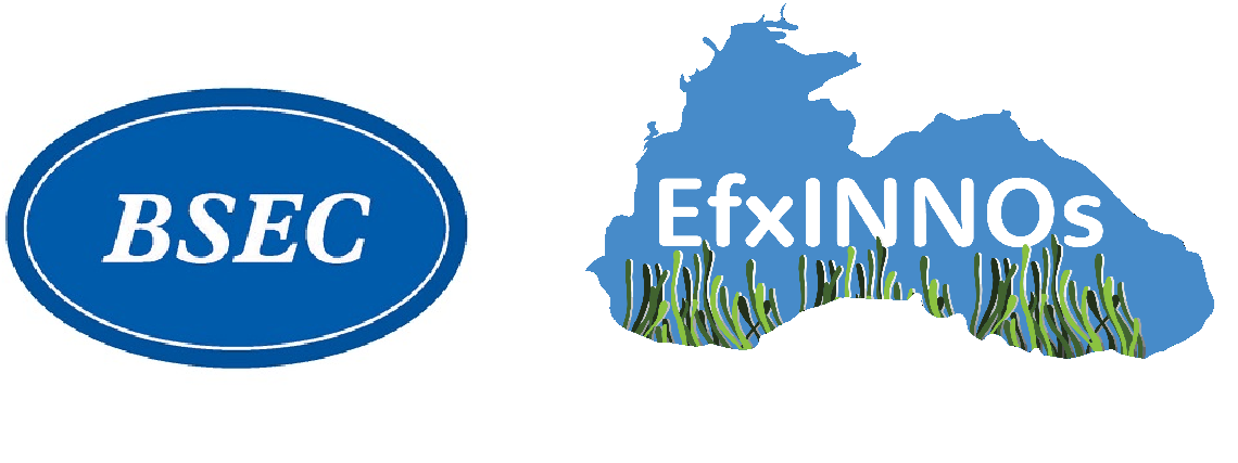 EfxINNOs Çalıştayı İstanbul’da düzenleniyor