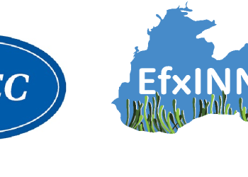 EfxINNOs Çalıştayı İstanbul’da düzenleniyor