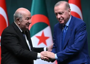 Türkiye ile Cezayir Arasında LNG İş Birliği Gündemde