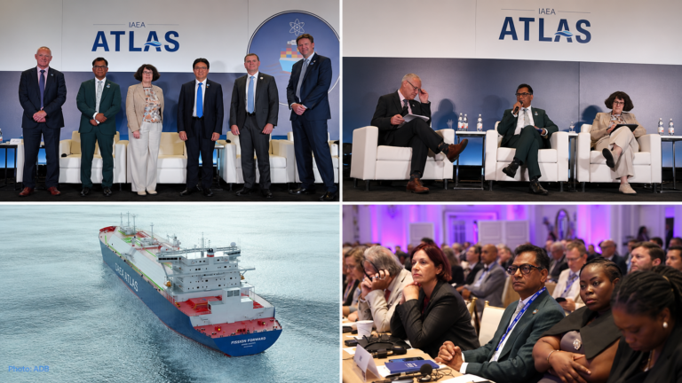 IMO ve IAEA’dan denizcilikte nükleer teknoloji için iş birliği adımı