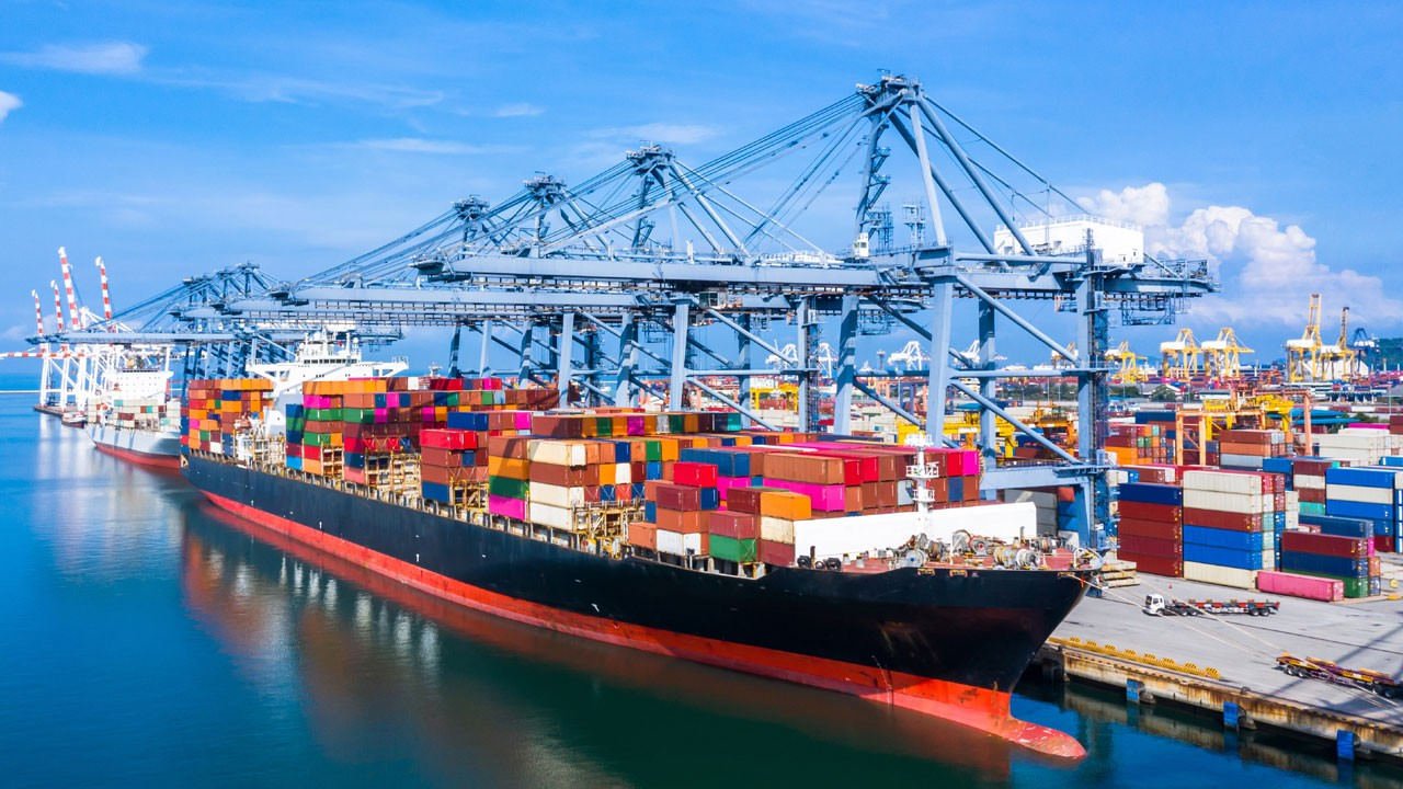 MSC TÜRK BAYRAKLI FİLOYU BÜYÜTÜYOR